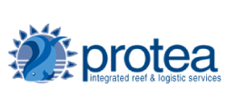 Protea
